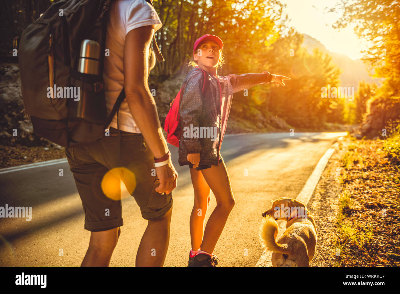 Mother and daughter hiking by the asphalt road in the forest with a small yellow dog Stock Photo