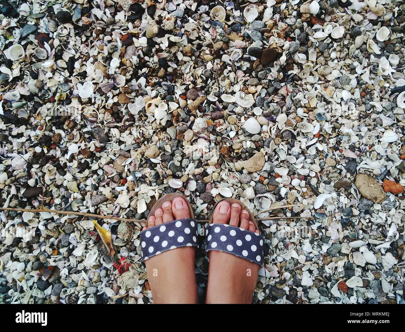 Broken Leg On Beach High Resolution Stock Photography and Images - Alamy