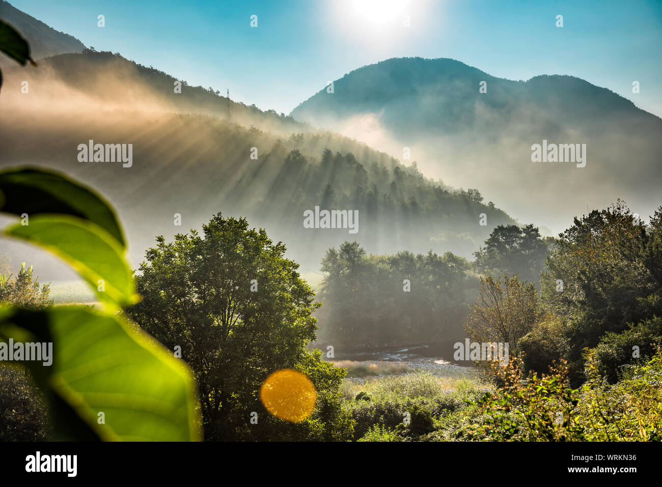 Mountains and morning fog over the forest Stock Photo