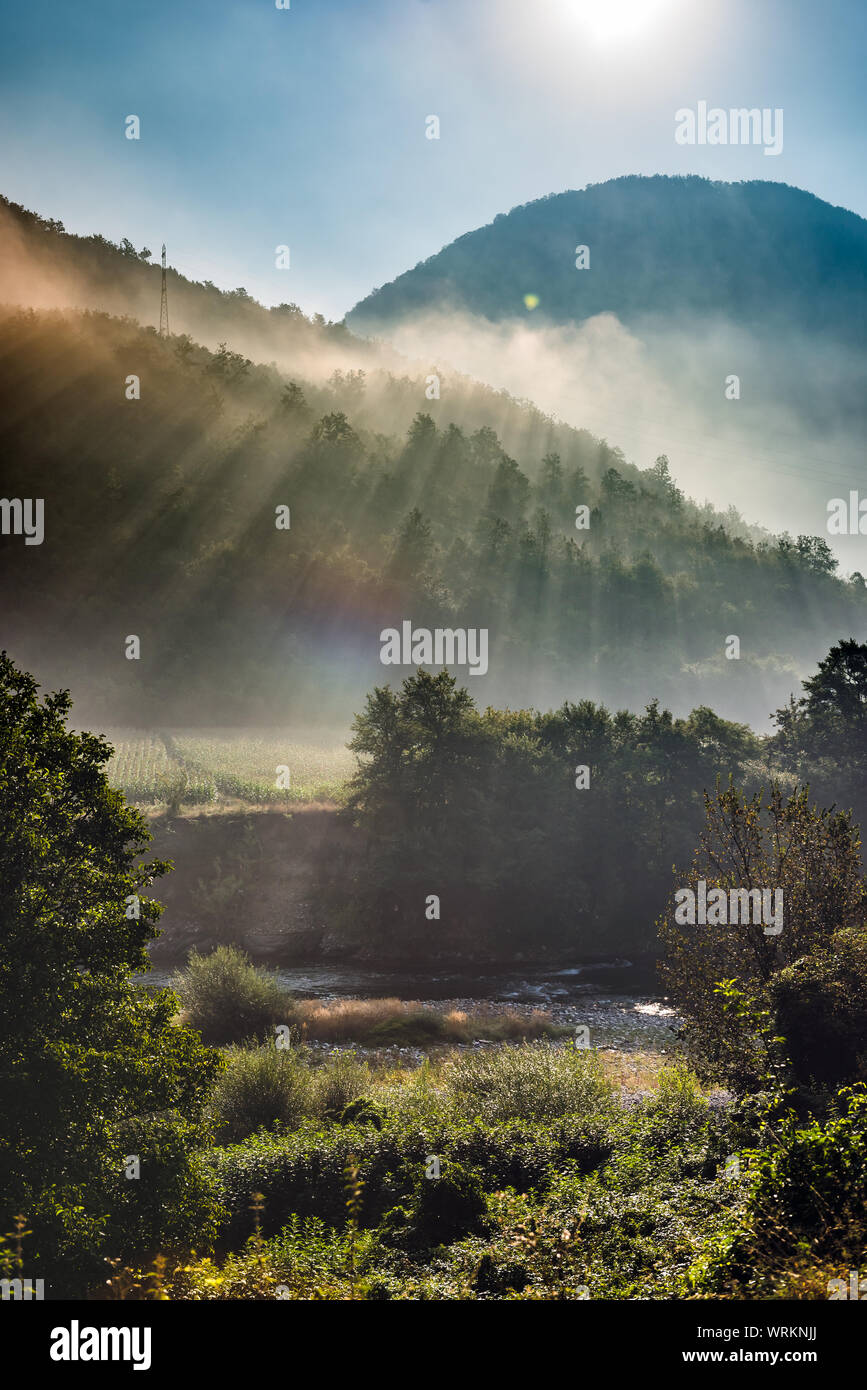 Mountains and morning fog over the forest Stock Photo - Alamy