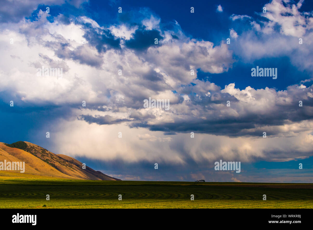 Cokeville wyoming hires stock photography and images Alamy