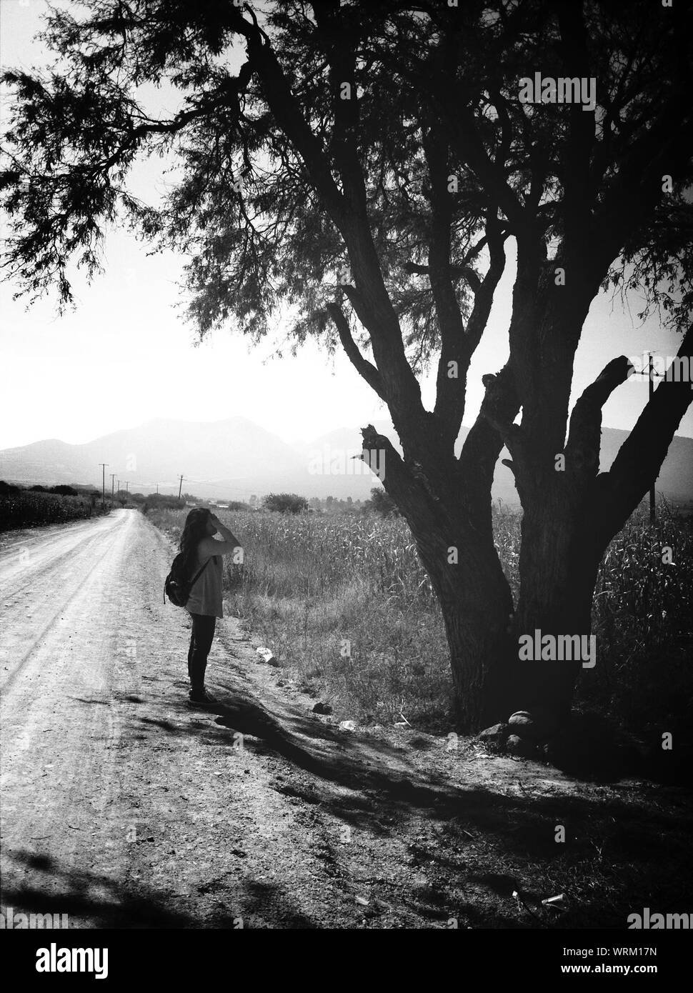 Side View Woman Hiding Face While Standing On Road Stock Photo - Alamy