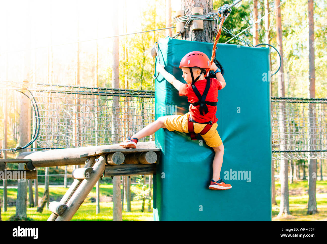 Little boy with climbing gear climbing rope trail between pine trees in