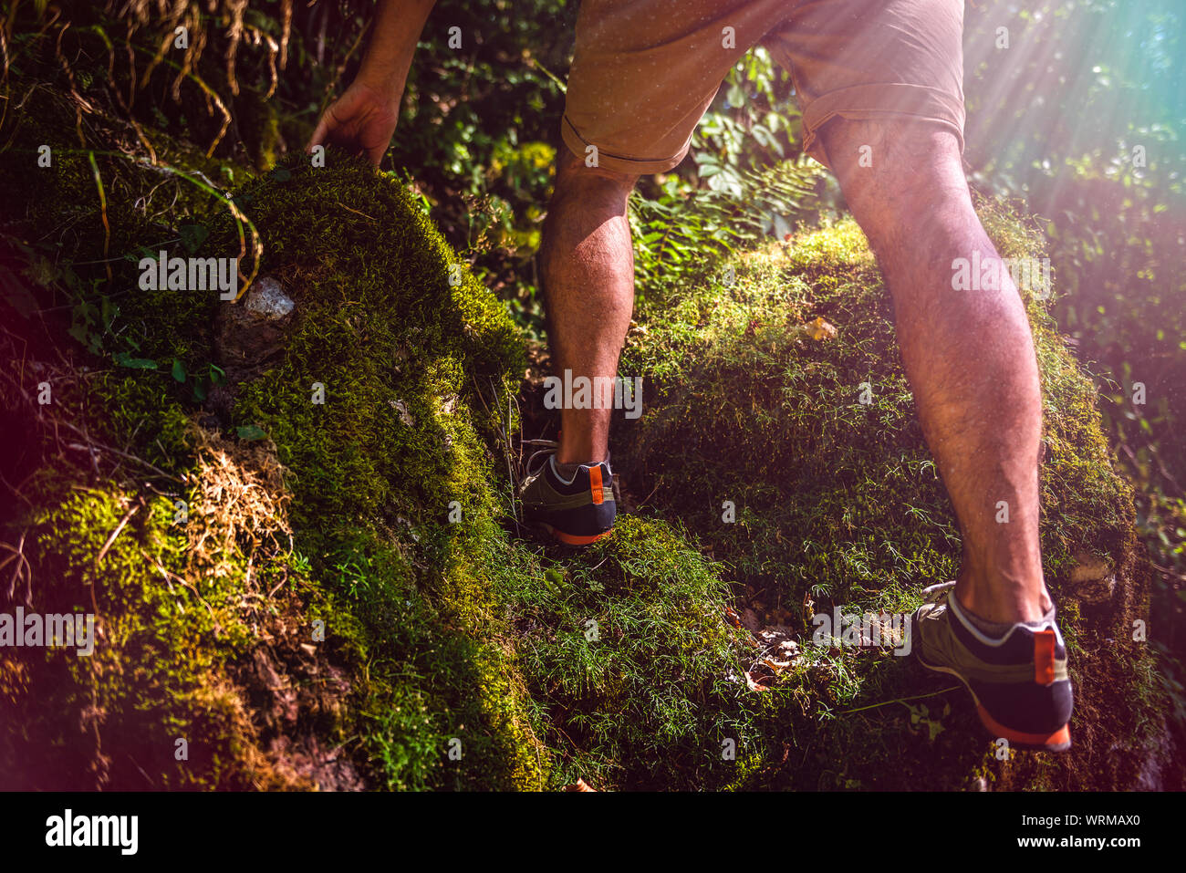Hikers climbing on a moss-covered rock Stock Photo