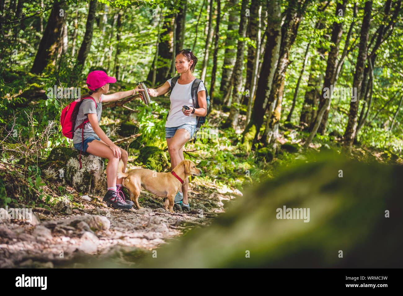 Mother and daughter in resting in forest with small yellow dog Stock Photo