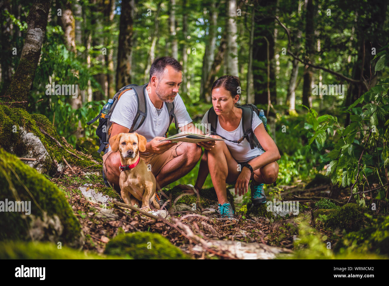 Hiking couple with small yellow dog checking map in forest Stock Photo ...