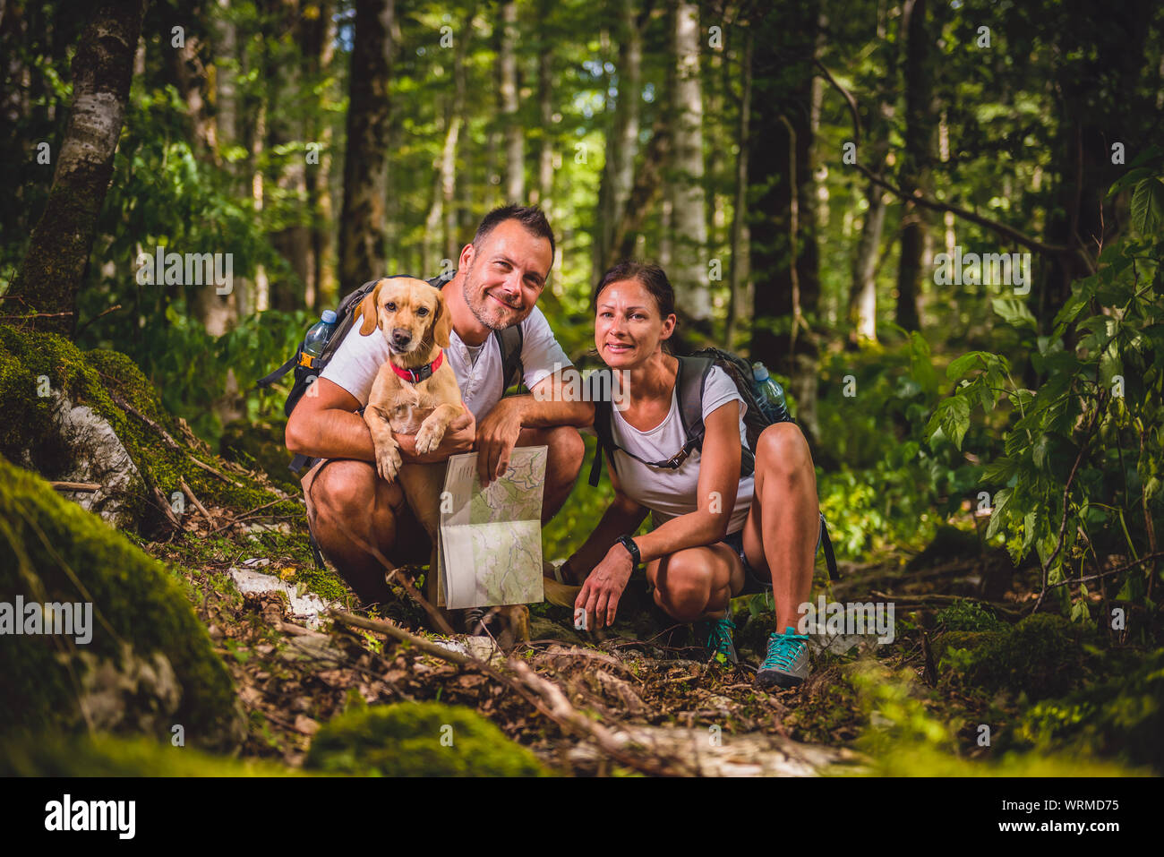 Hiking couple with small yellow dog posing in forest Stock Photo