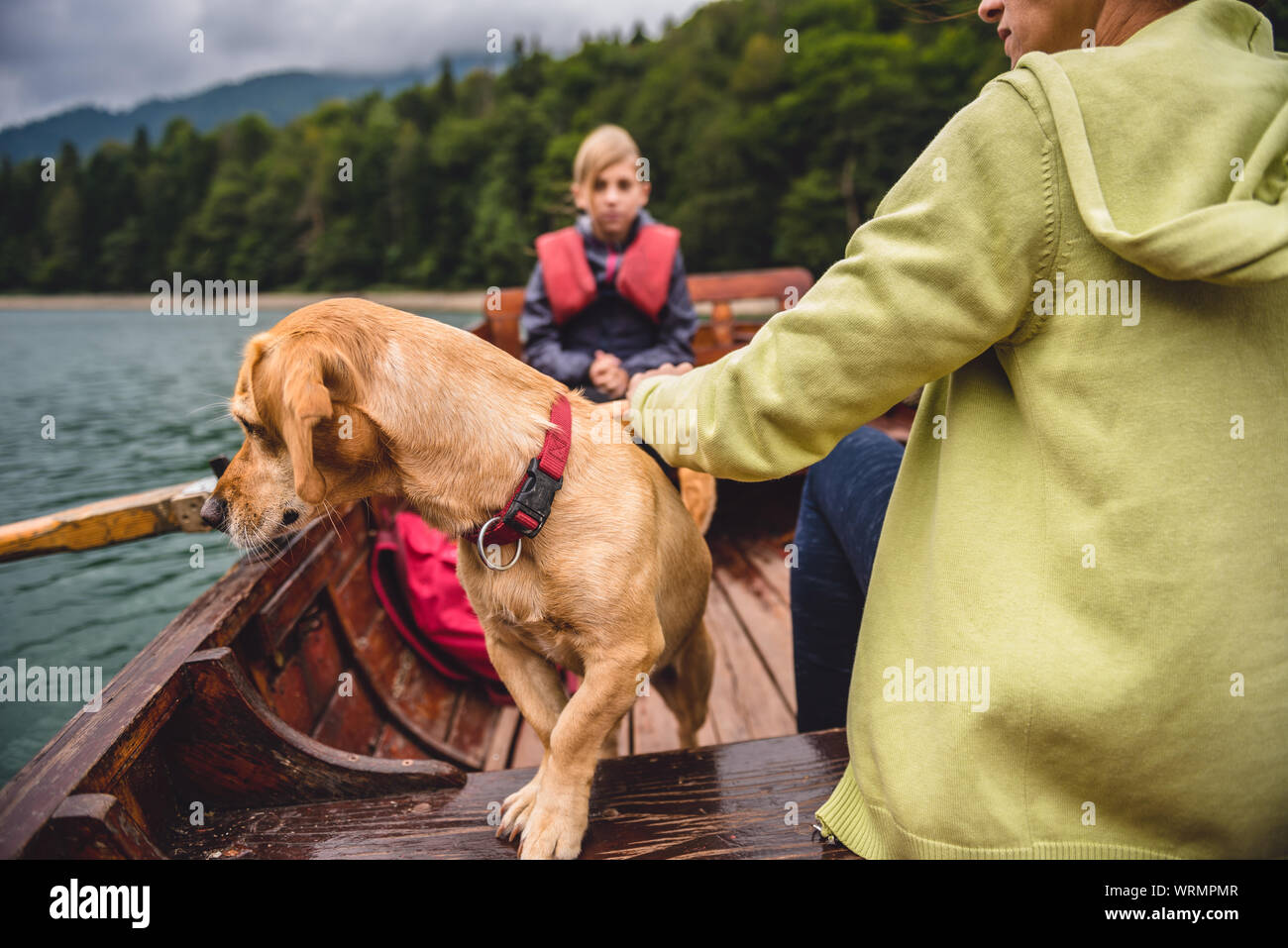 Small yellow dog on a boat with family looking at water Stock Photo