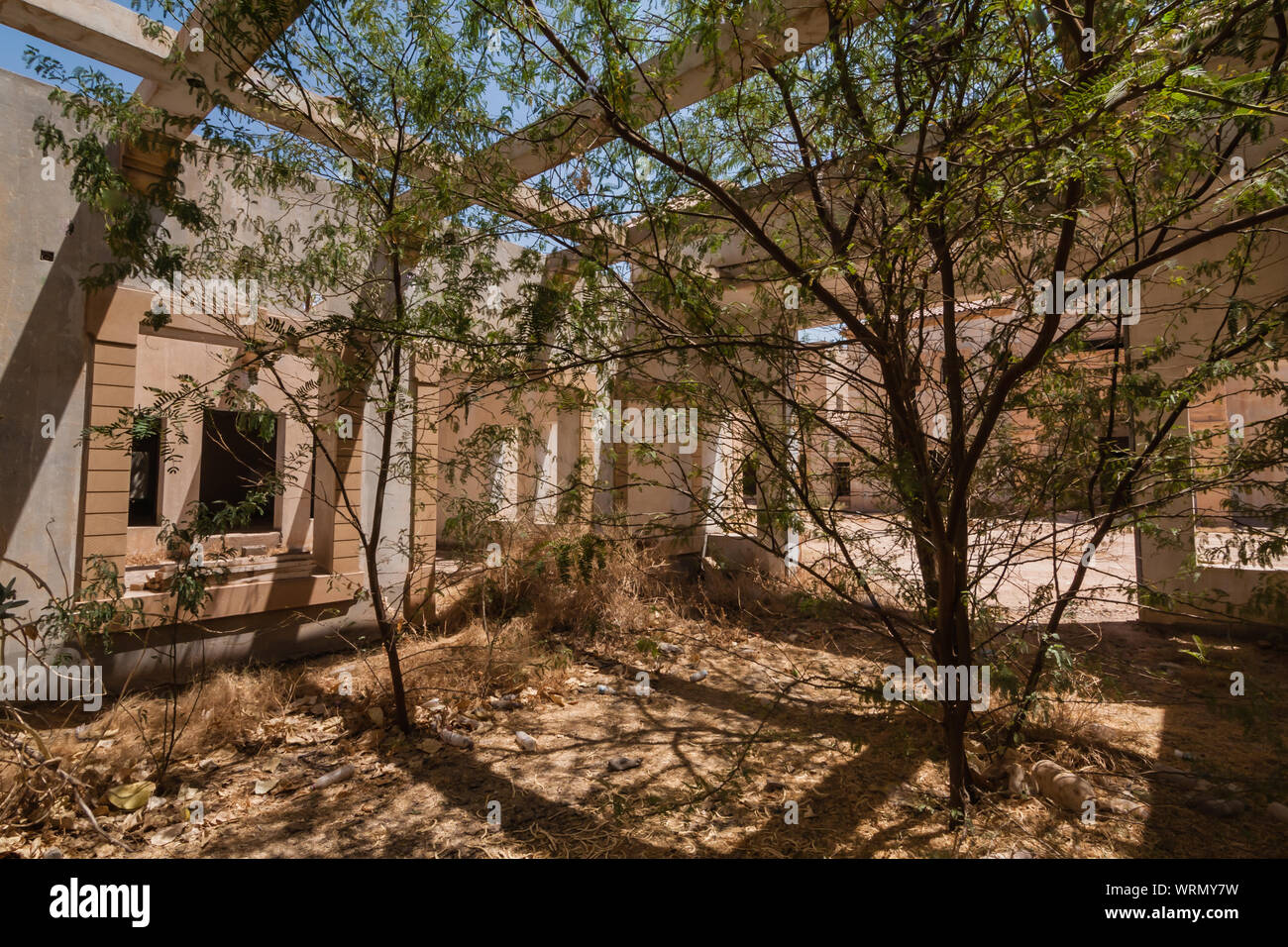Acacia trees on the entrance yard of the abandoned luxury villa in Riyadh Stock Photo