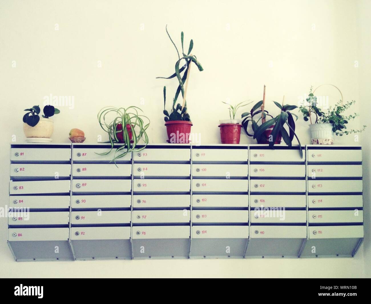 Potted plants communication hires stock photography and images Alamy