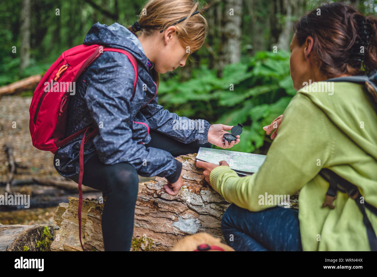 Daughter and mother with a dog hiking in the forest and using compass and map to navigate Stock Photo