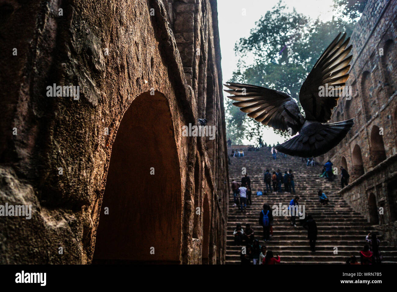 Pigeon Flying At Historic Place Stock Photo