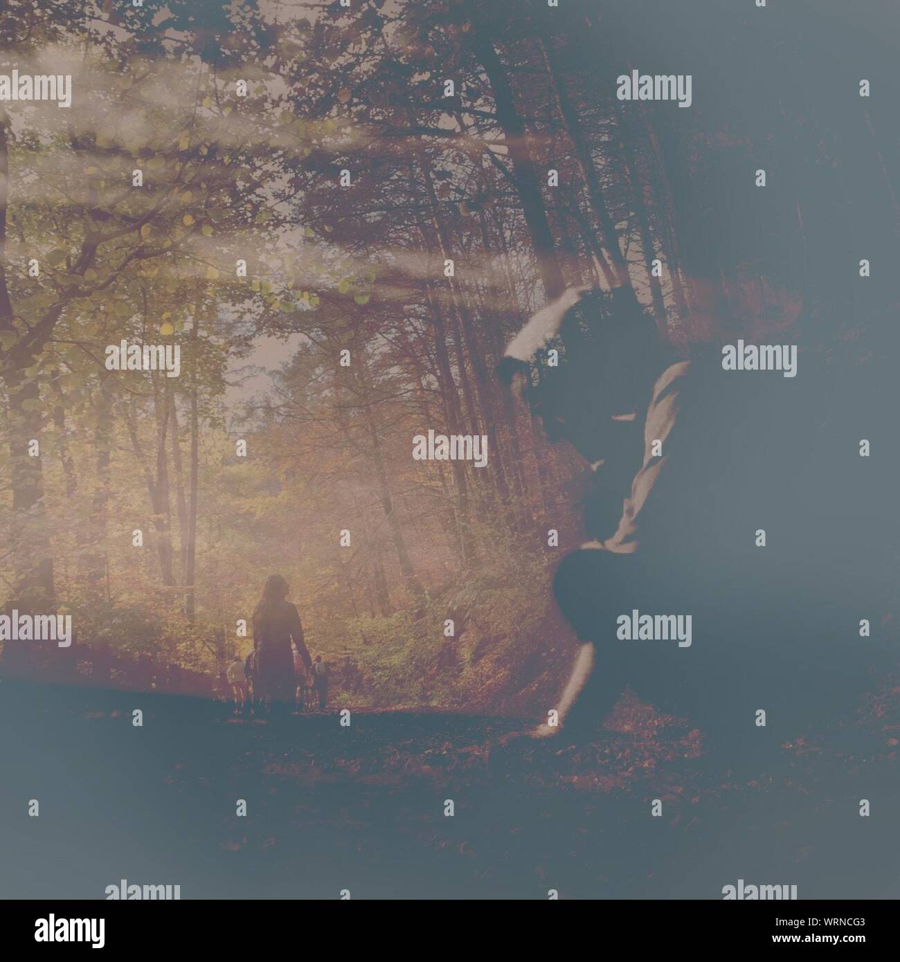 Double exposure man tree hi-res stock photography and images - Alamy