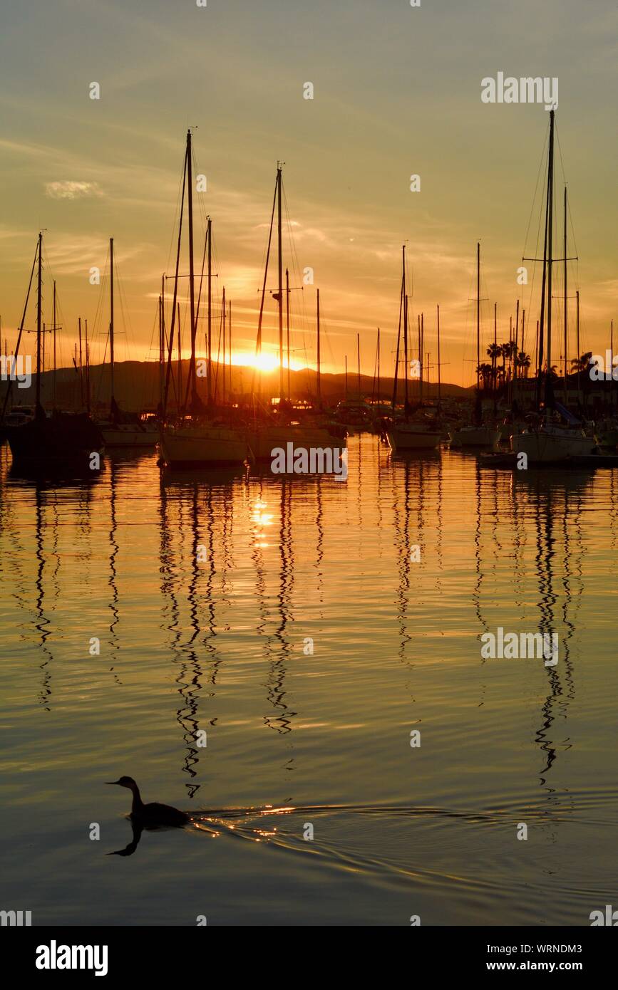 San diego boats skyline early hi-res stock photography and images - Alamy