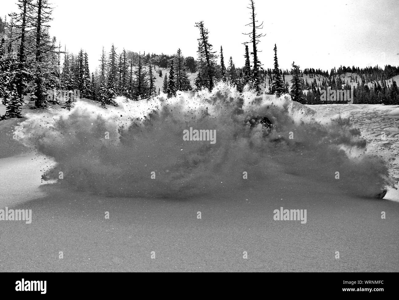 Exploding Tree High Resolution Stock Photography and Images - Alamy