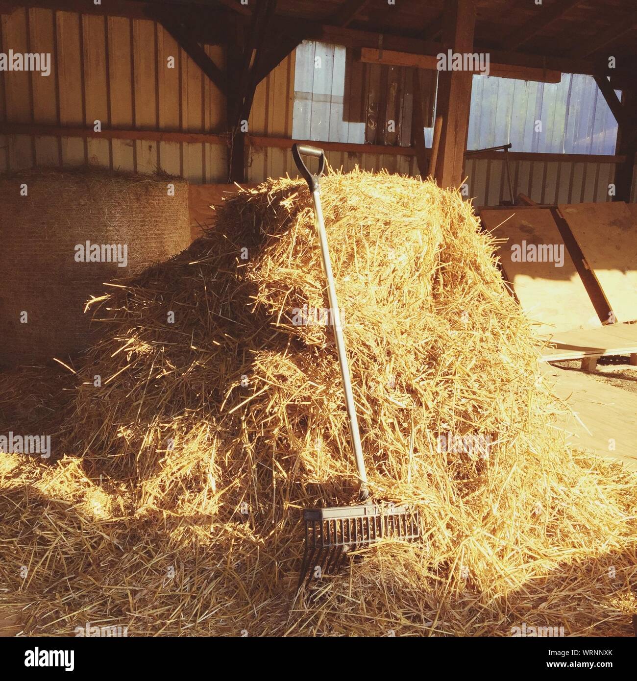 Straw Heap High Resolution Stock Photography and Images - Alamy