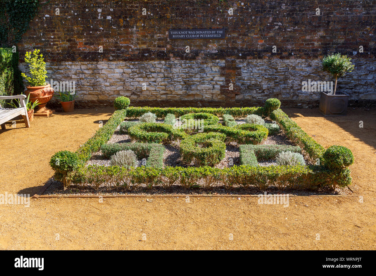 Yew knot garden in the Physic Garden, a botanical herb garden open to the public in the market town of Petersfield, Hampshire, southern England, UK Stock Photo