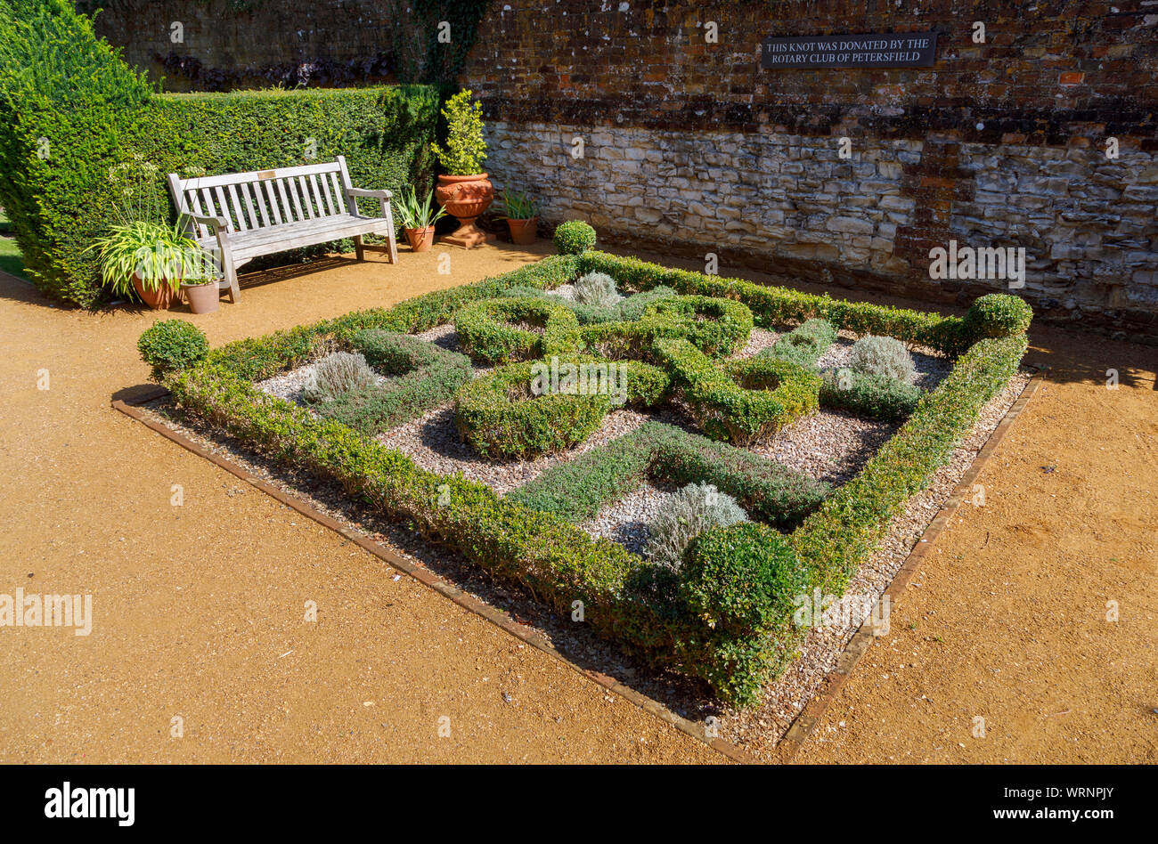 Yew knot garden in the Physic Garden, a botanical herb garden open to the public in the market town of Petersfield, Hampshire, southern England, UK Stock Photo