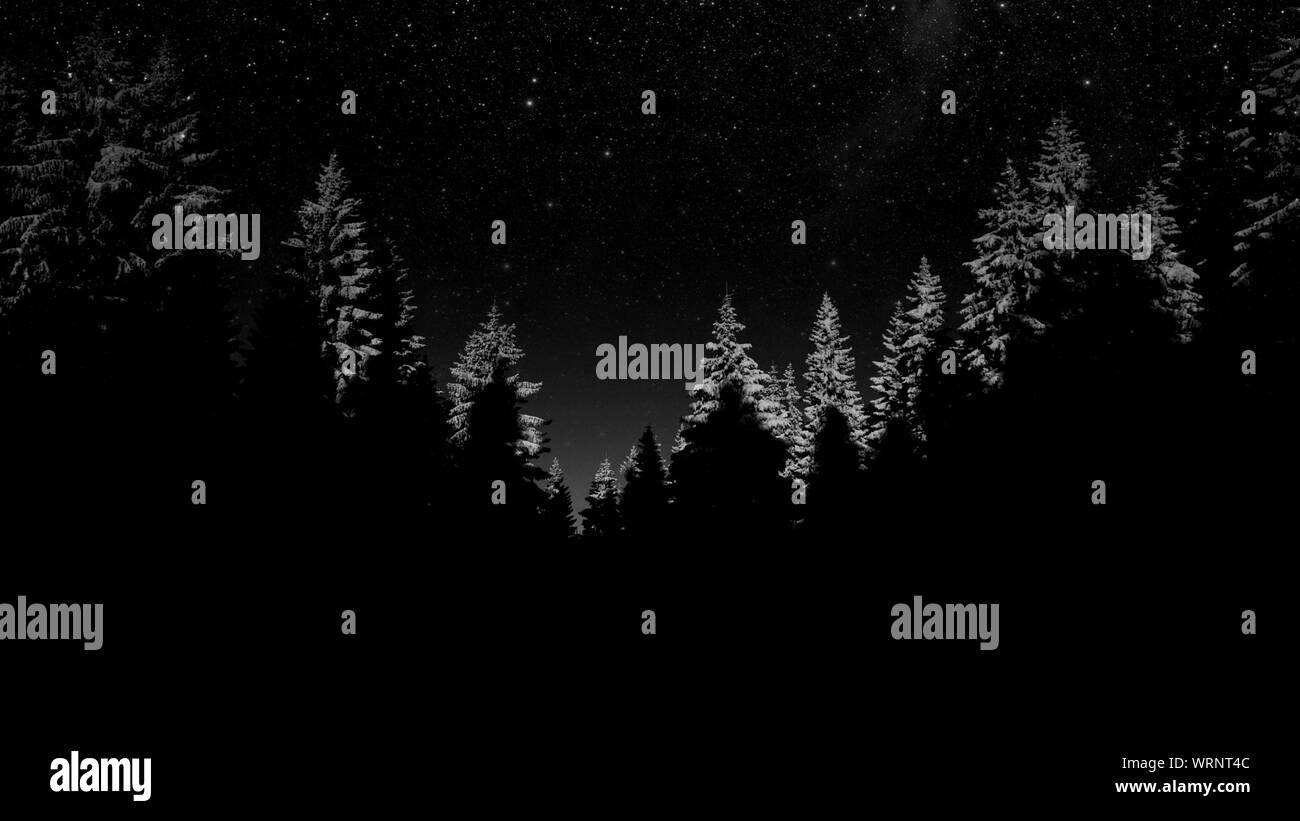 Pine forest silhouette Black and White Stock Photos & Images - Alamy