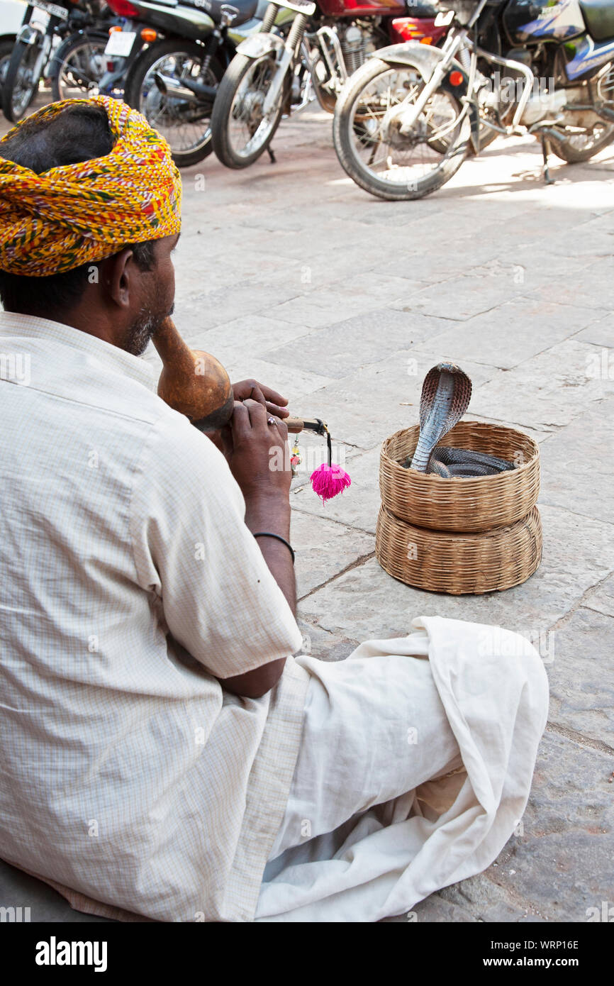 Streets of rajasthan hi-res stock photography and images - Alamy
