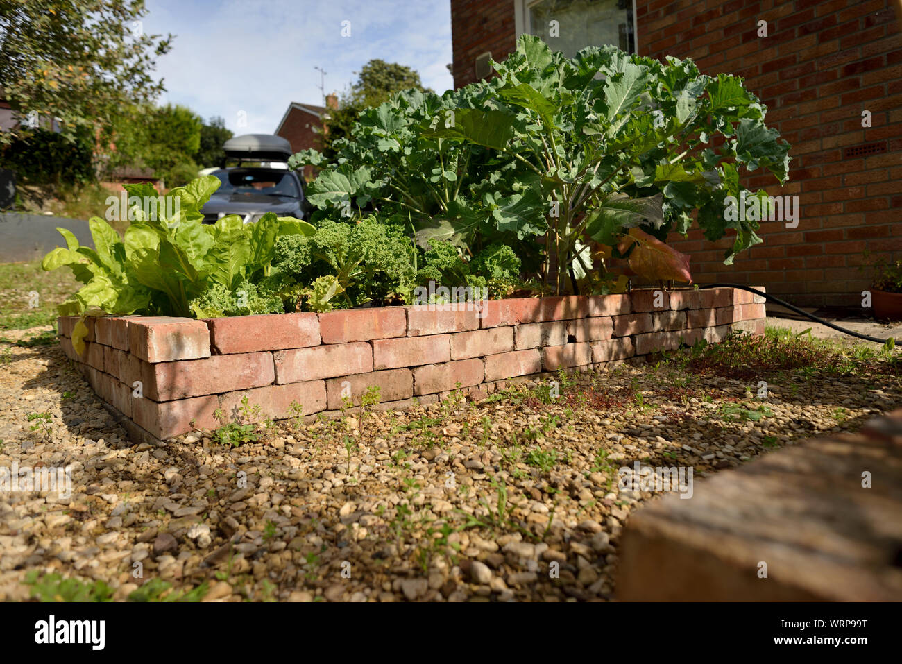 Brick raised bed hi-res stock photography and images - Alamy