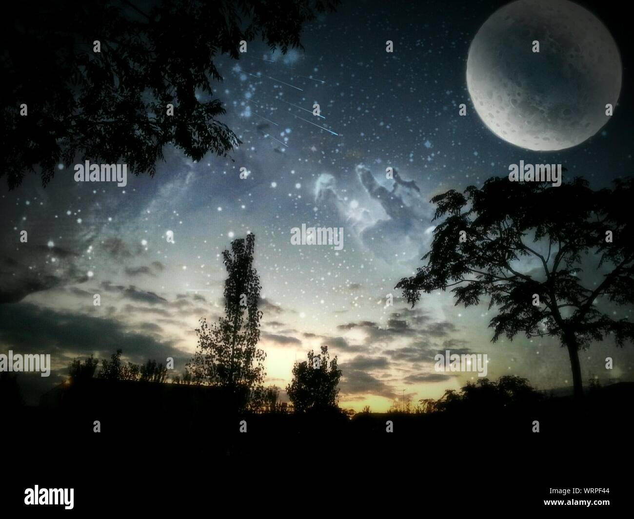 Silhouette Trees Against Star Field And Full Moon Stock Photo Alamy