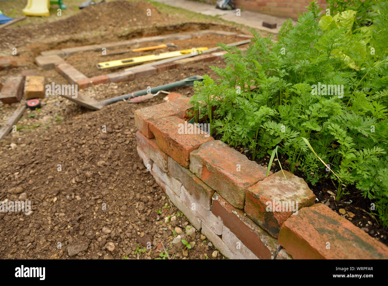 Brick raised bed hires stock photography and images Alamy