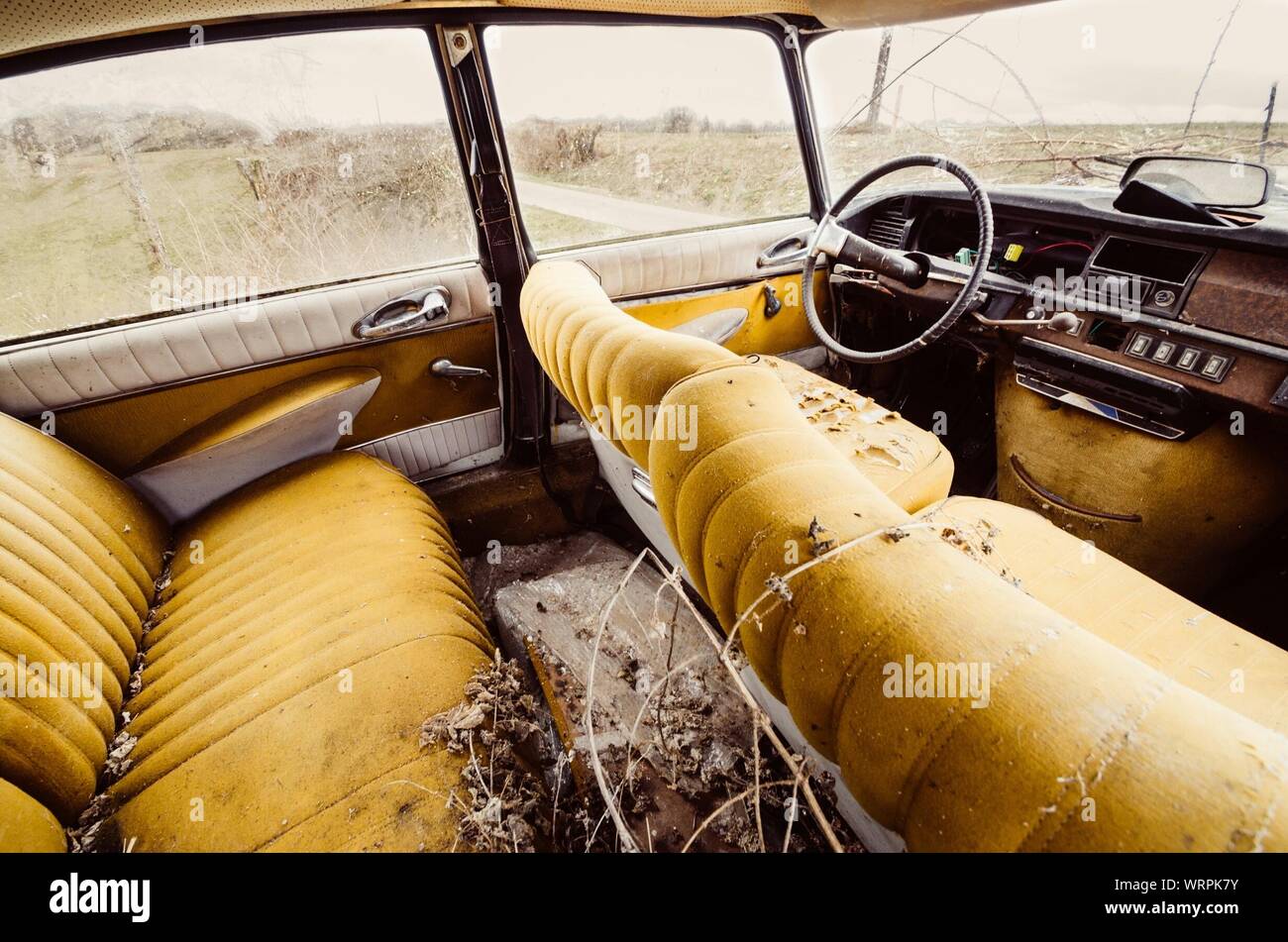 Download Interior Of Yellow Abandoned Car Stock Photo Alamy PSD Mockup Templates