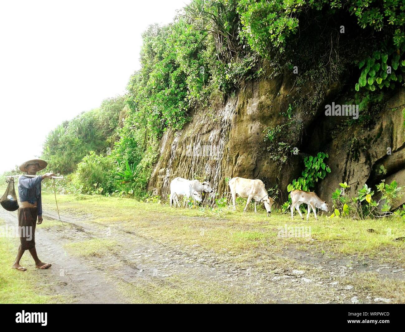 Stick bag hires stock photography and images Alamy