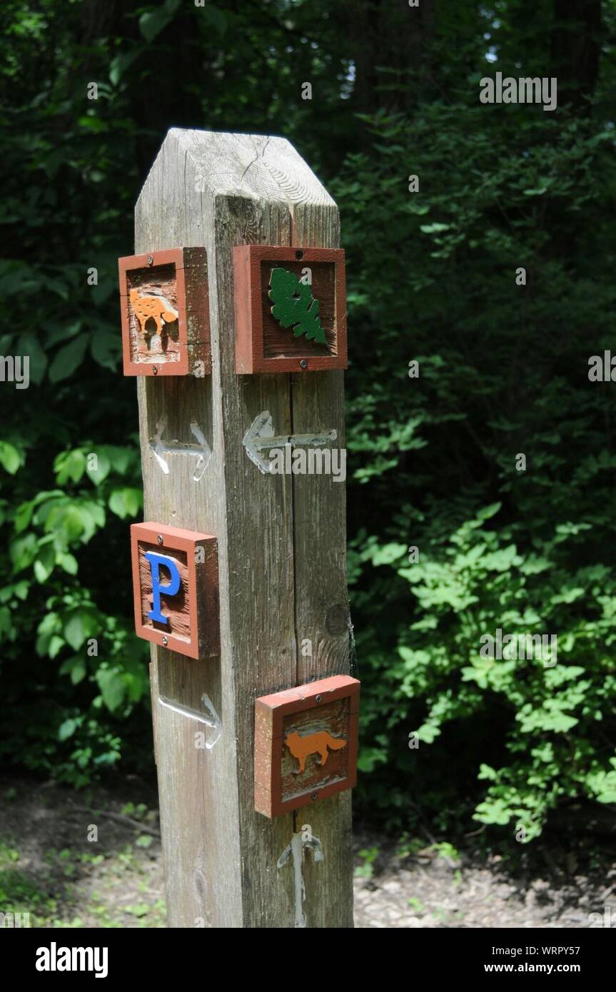 Animal Represented On Wooden Post Stock Photo