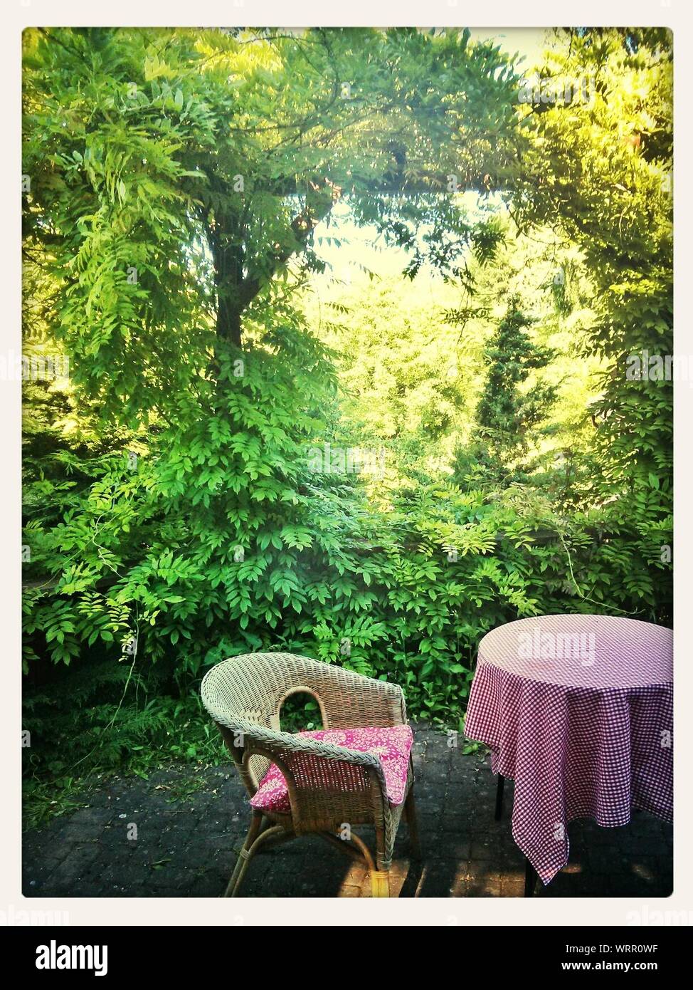 Outdoor Furniture Against Plants Stock Photo