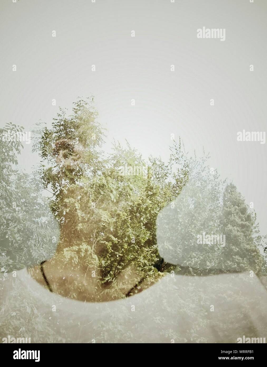 Double Exposure Man Tree High Resolution Stock Photography and Images ...