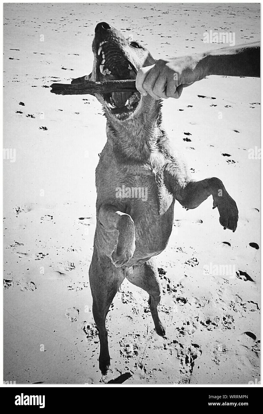 Finger mouth Cut Out Stock Images & Pictures Alamy