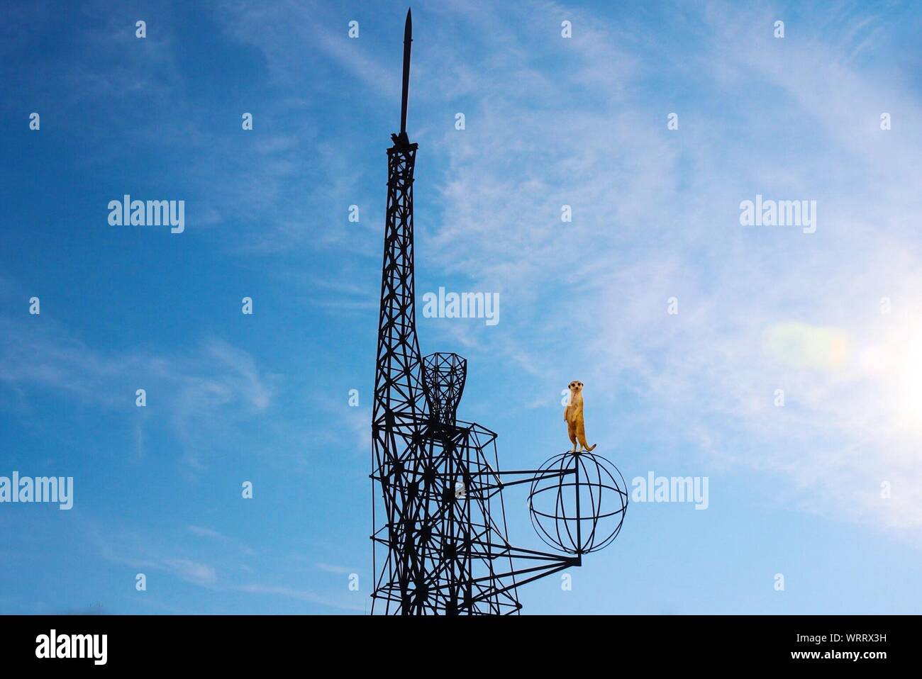 Low Angle View Of Meerkat Statue On Globe Of Human Sculpture Stock Photo