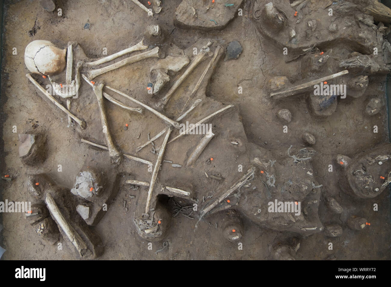 A look at a mass grave of the killing fields that's partially excavated at the Choeung Ek Genocidal Center, outiside Phnom Penh, Cambodia. Stock Photo