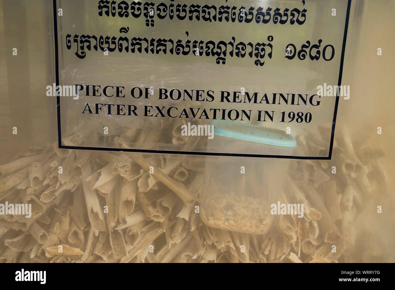 A clear box is filled with the bones of killing fields victims at the Choeung Ek Genocidal Center, outiside Phnom Penh, Cambodia. Stock Photo