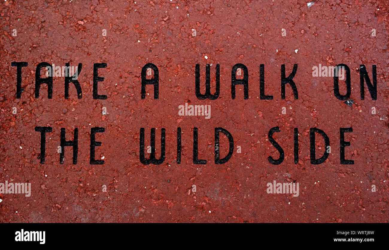 "Take a walk on the wild side" Inspirational Message Etched into Red
