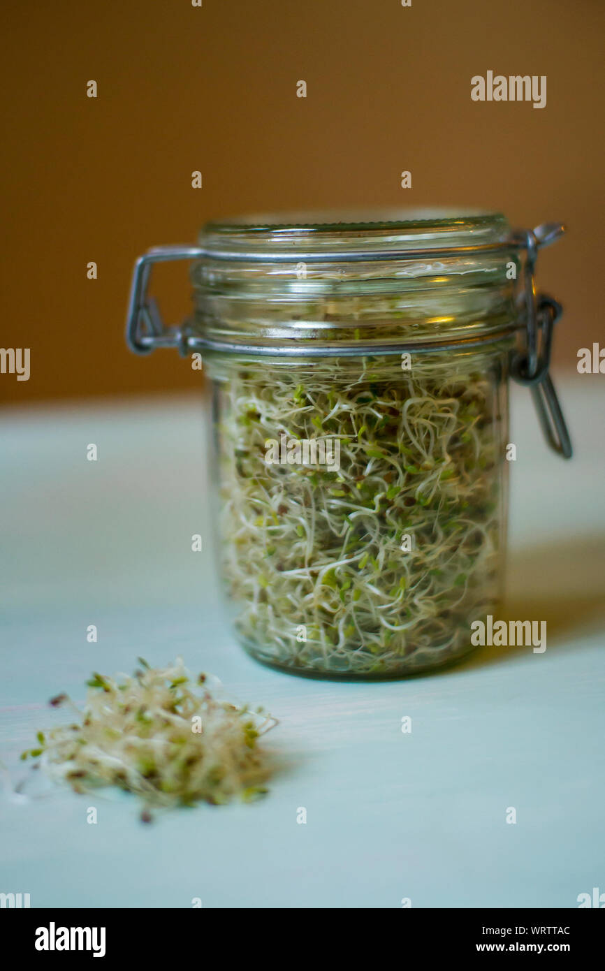 Sprout jar hires stock photography and images Alamy
