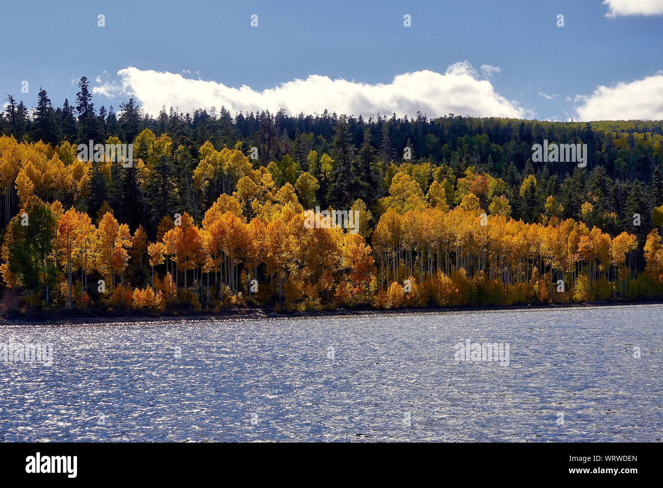Scenic View Of Lake In Forest Against Sky Stock Photo