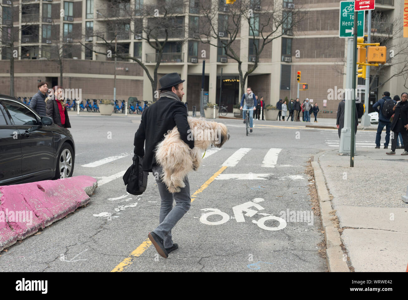 Man carrying his dog on a Brooklyn, New York street. Stock Photo