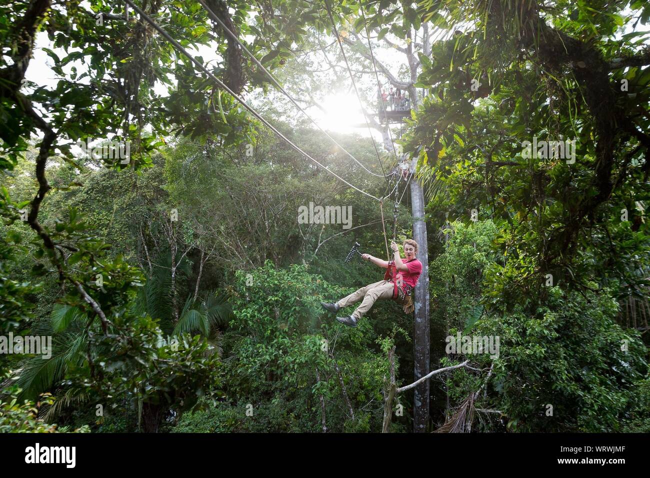 Young Man Zip Lining At Amazon Rainforest Stock Photo Alamy
