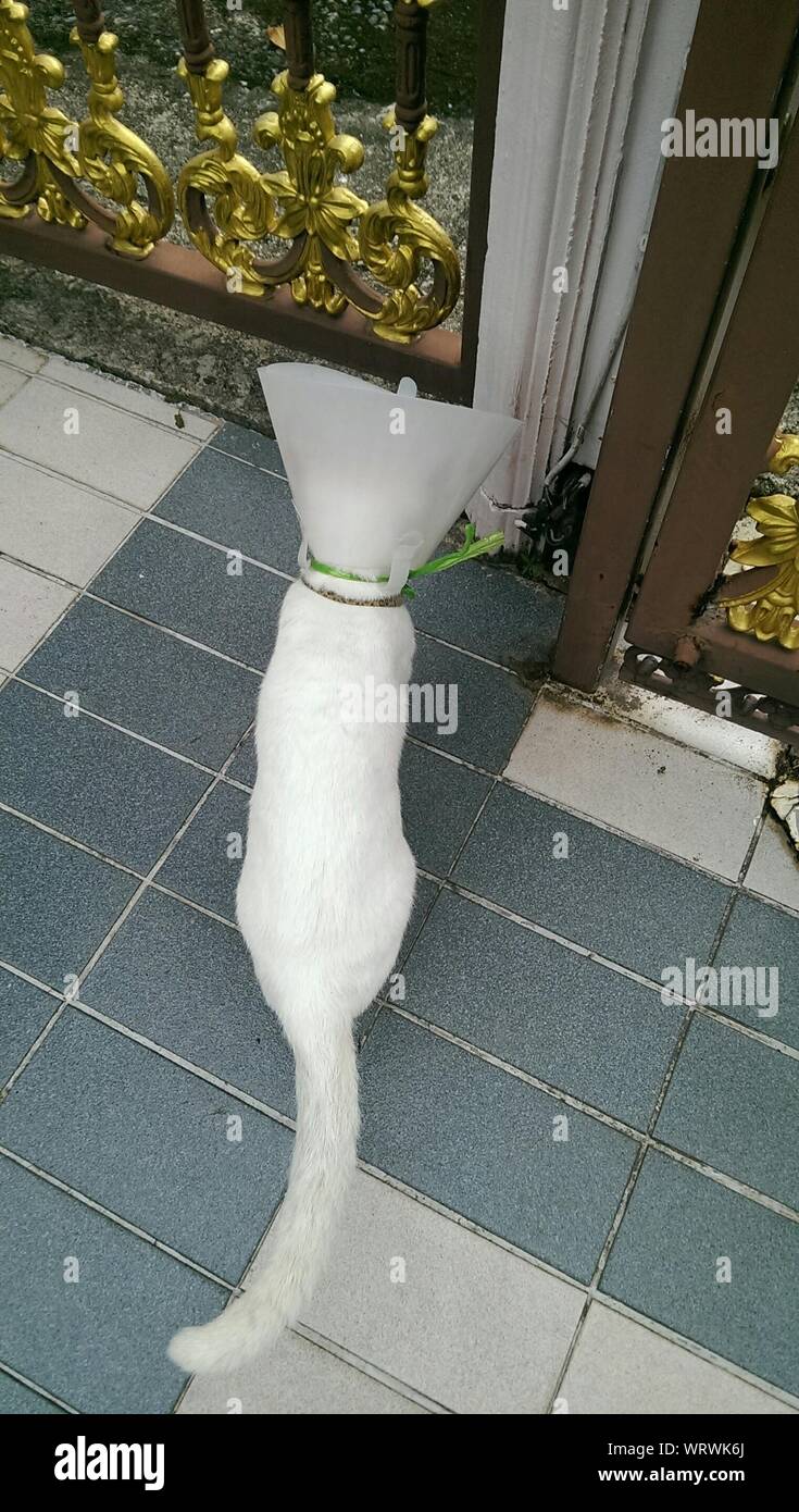 Angle brace hires stock photography and images Alamy