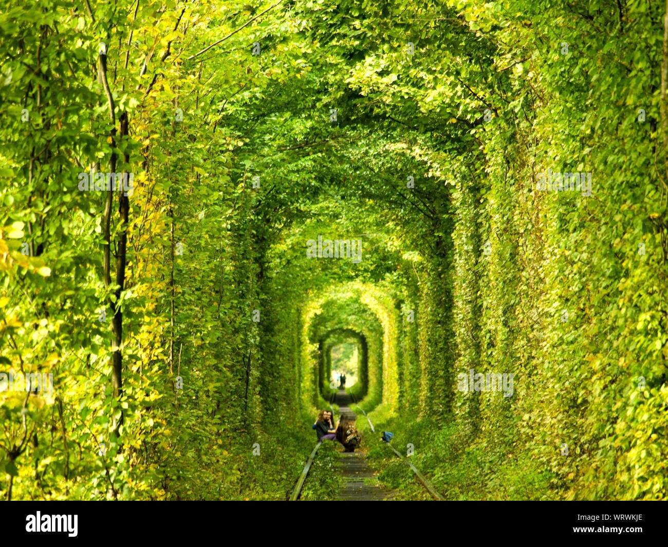 Plants covered walkway hires stock photography and images Alamy