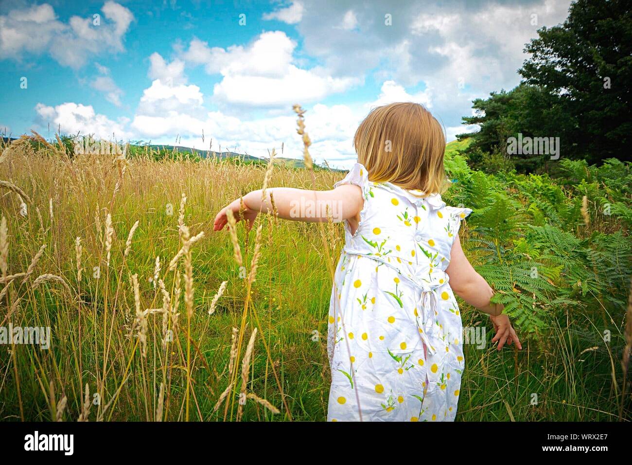 Rear View Of Girl Wearing White Floral Dress On Field Against Sky Stock Photo
