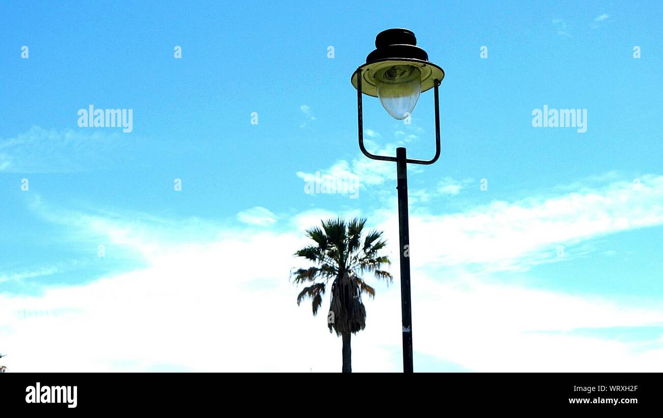 Street light palm tree hi-res stock photography and images - Alamy