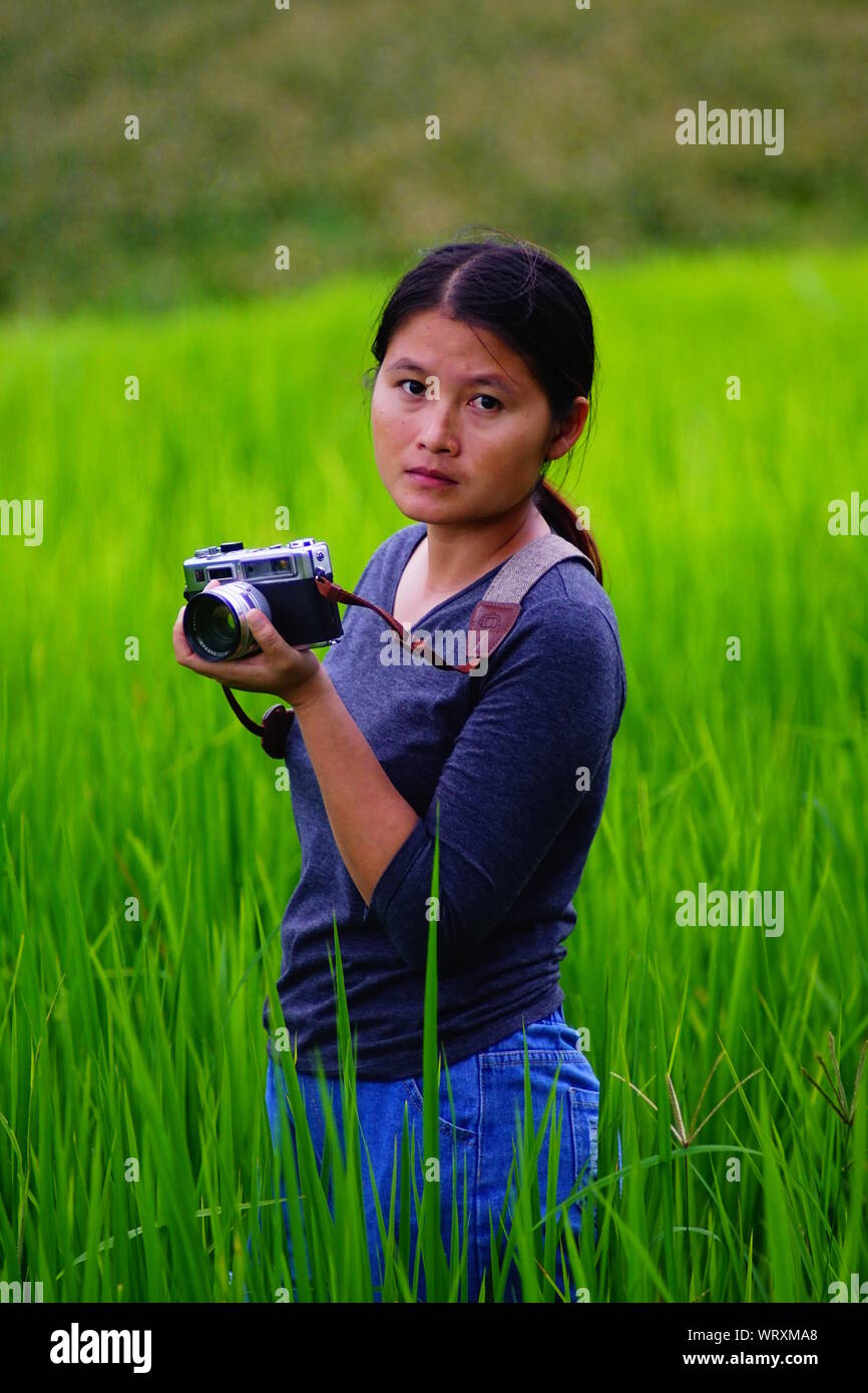 Rice field photo hi-res stock photography and images - Alamy