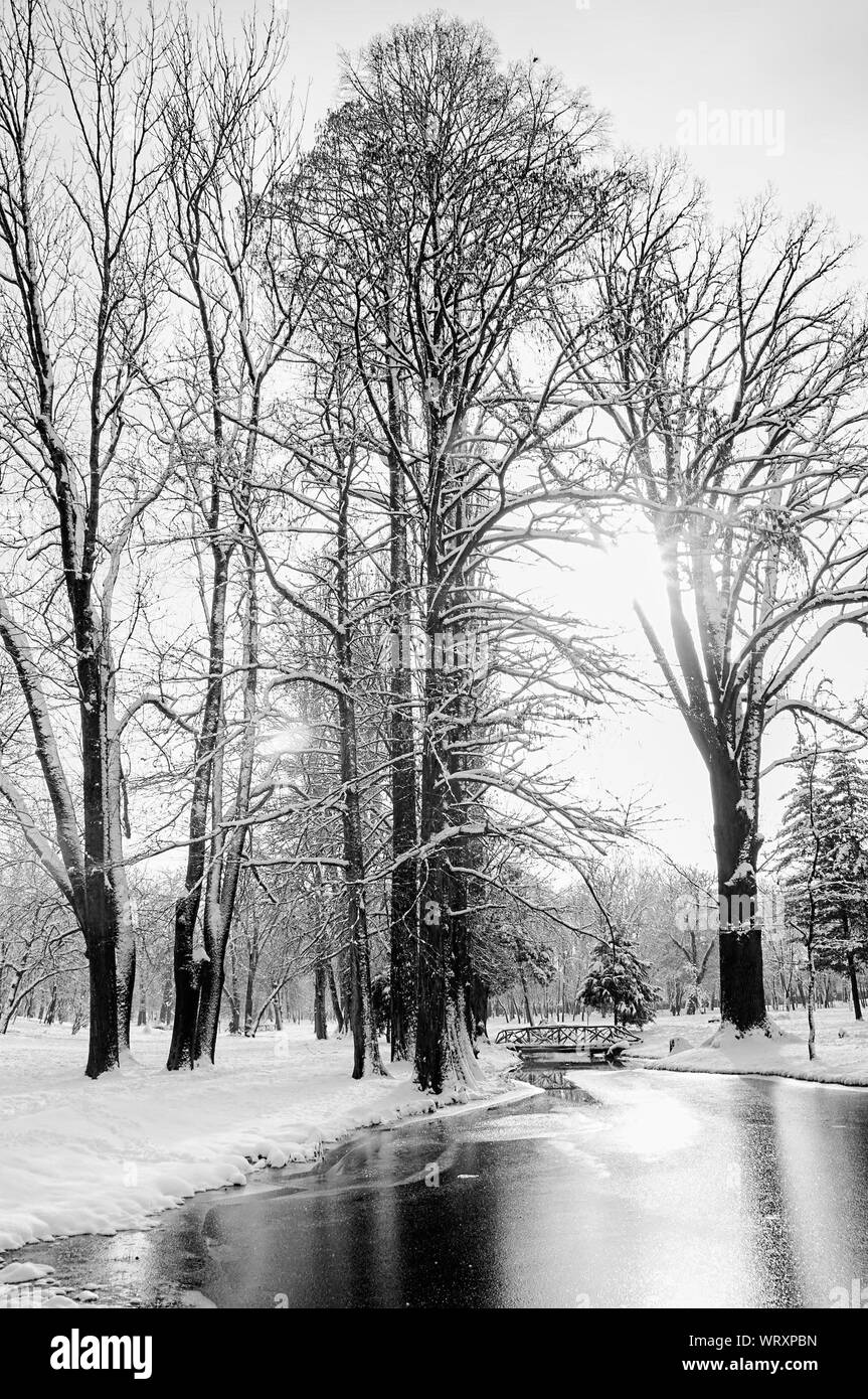 Lake And Forest In Winter Stock Photo Alamy