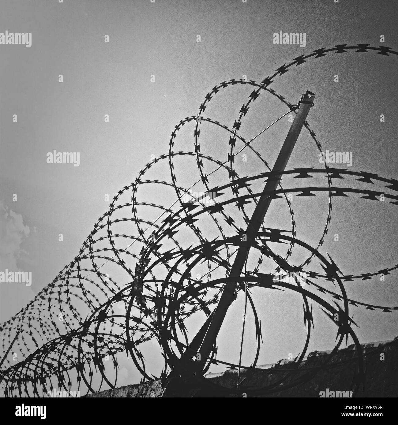 Concertina up hires stock photography and images Alamy