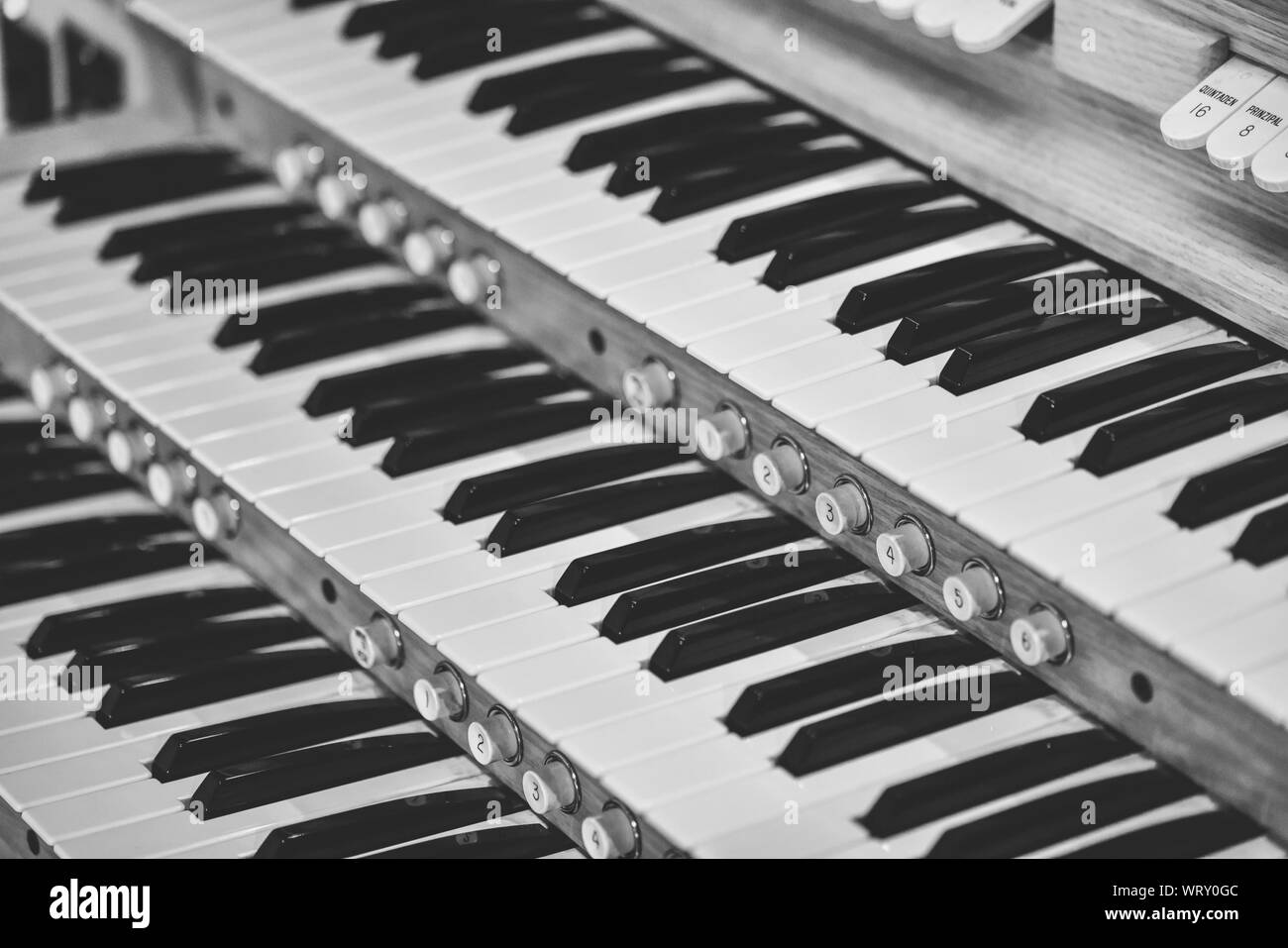 Accordion Black and White Stock Photos & Images Alamy