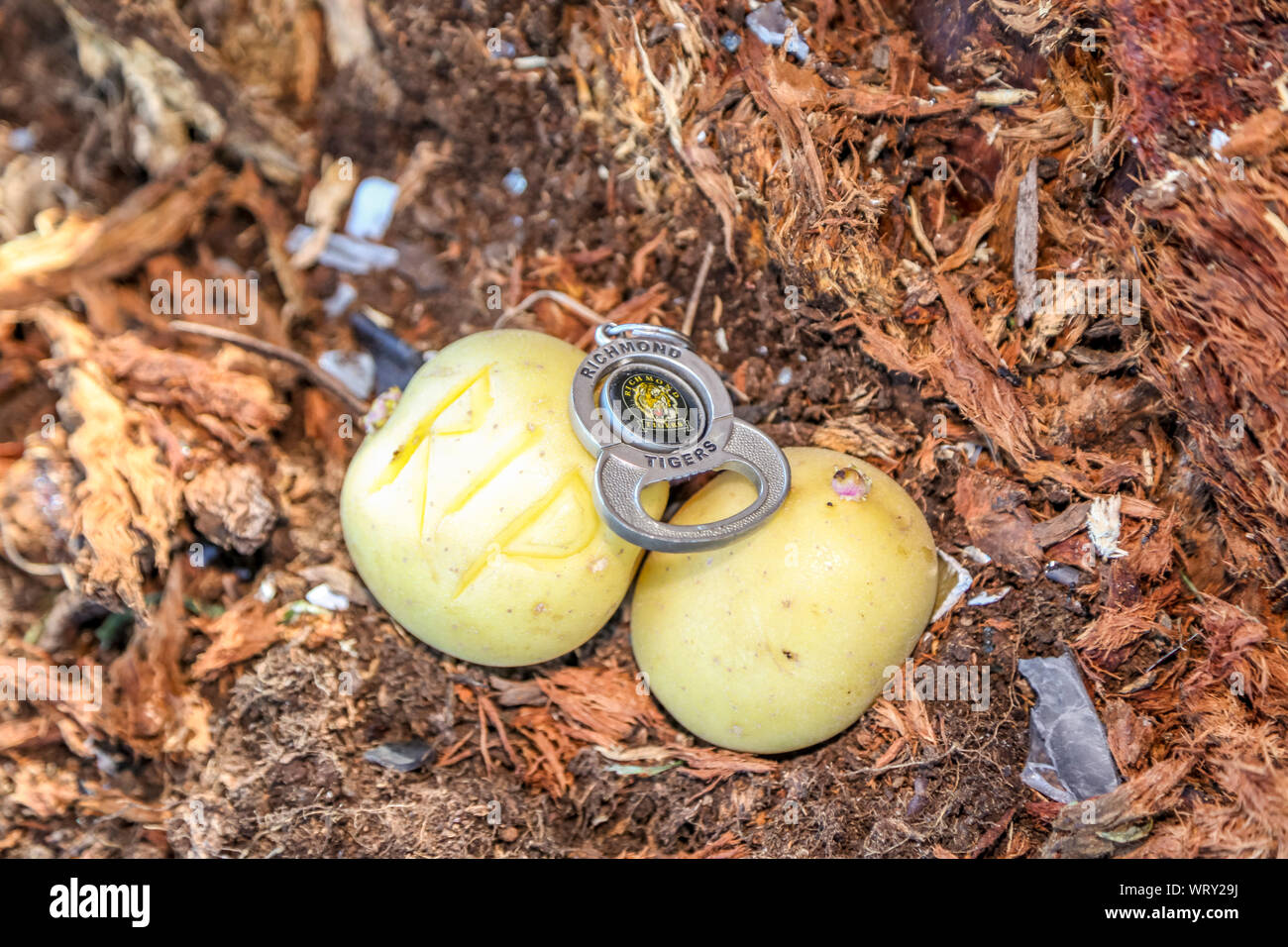 Bungaree, Victoria, Australia - 11 September 2019 - Tributes Flow in for AFL Footy legend Danny'Spud 'Frawley at the sceen of his crash. Mourners have left  tributes to the former AFL Player and Commentator at the sceen where he colided with a tree on Monday Afternoon(9th September 2019) near his beloved home town and family potato farm. Victoria Police on Tuesday announced the fatal crash was not being treated as suspicious.The AFL will pay tribute to Frawley with a moment of silence before each of this weekend’s semi-finals. Image Credit Brett Keating - Alamy Live News. Stock Photo